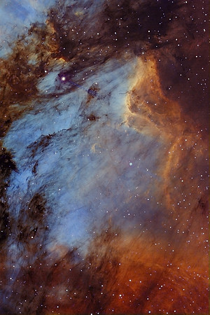 Pelican Nebula