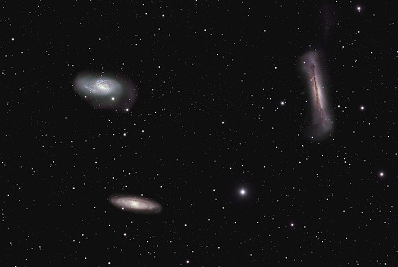 Leo Trio