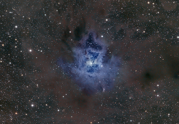 Iris Nebula