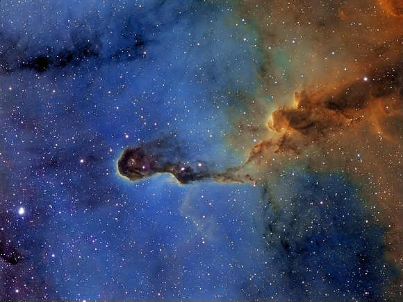 The Elephant Trunk Nebula