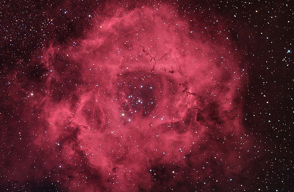 The Rosette Nebula
