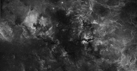 Cygnus Wide-field