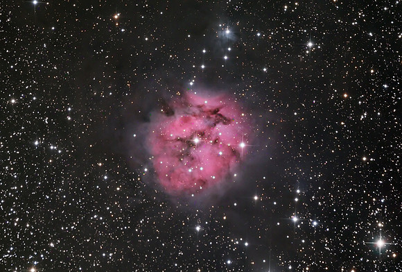 Cocoon Nebula